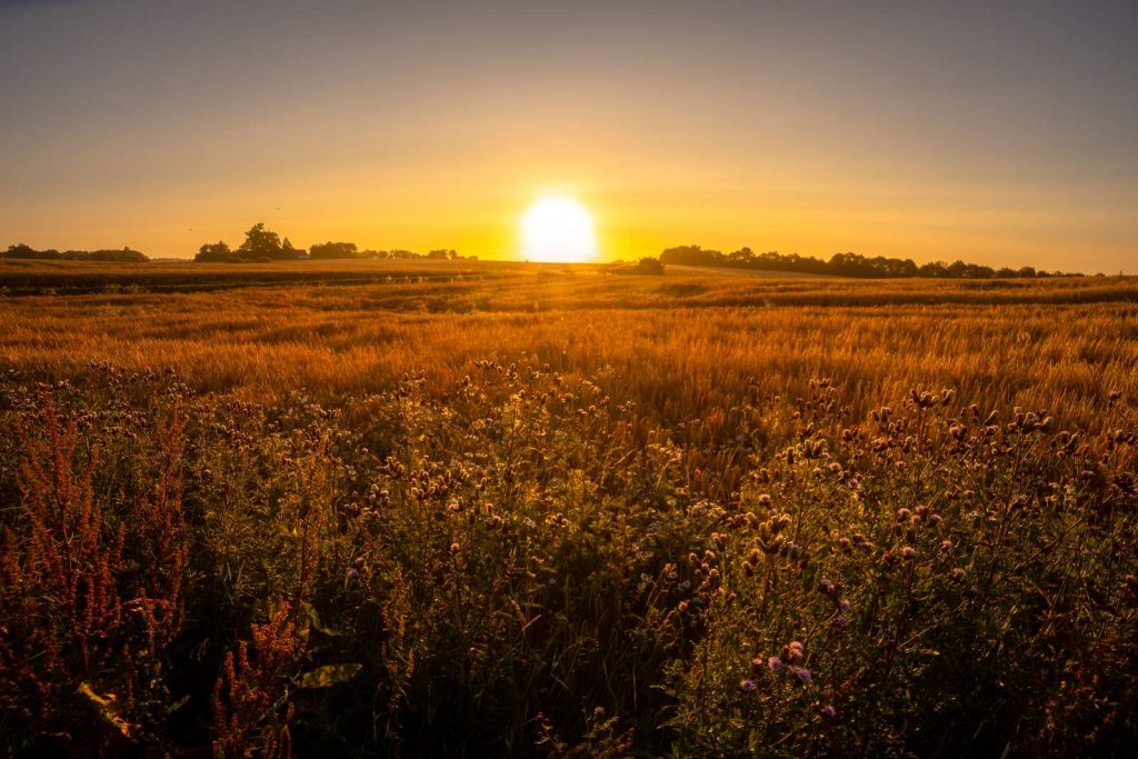 Osho risk Denmark landscape